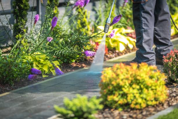  Laurel Springs, NJ Pressure Washing Pros